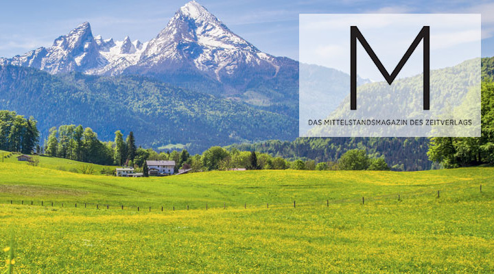 Die Alpen
