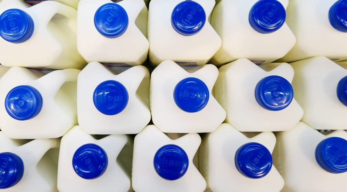 Biokunststoffe: Anwendungsbereiche und Umweltbilanz