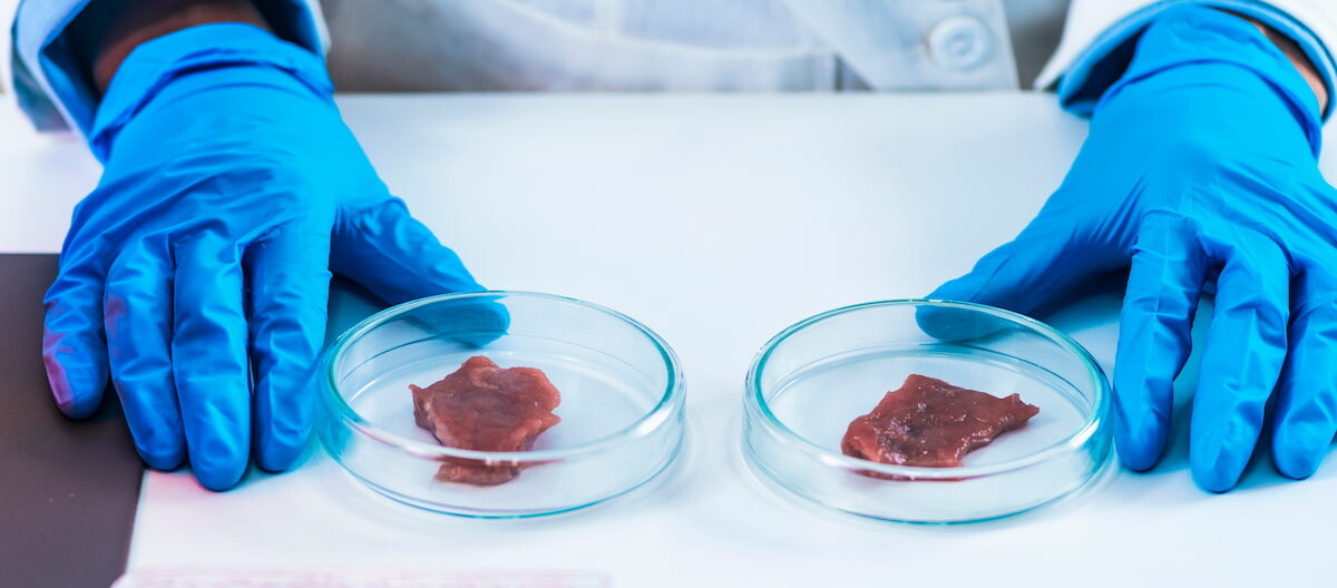 Kultiviertes Fleisch im Labor