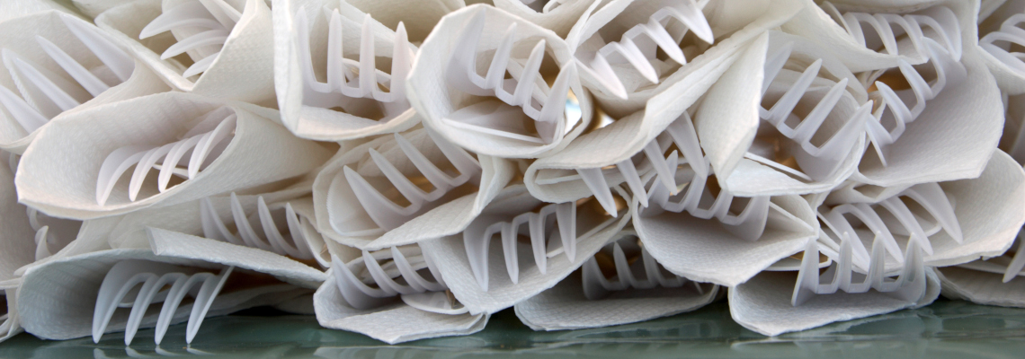 Das Einwegplastik-Verbot und seine Folgen