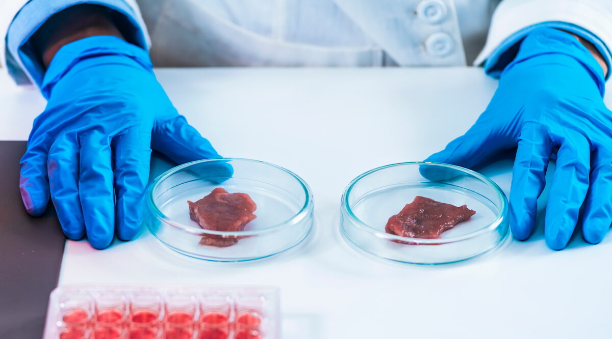 Kultiviertes Fleisch im Labor