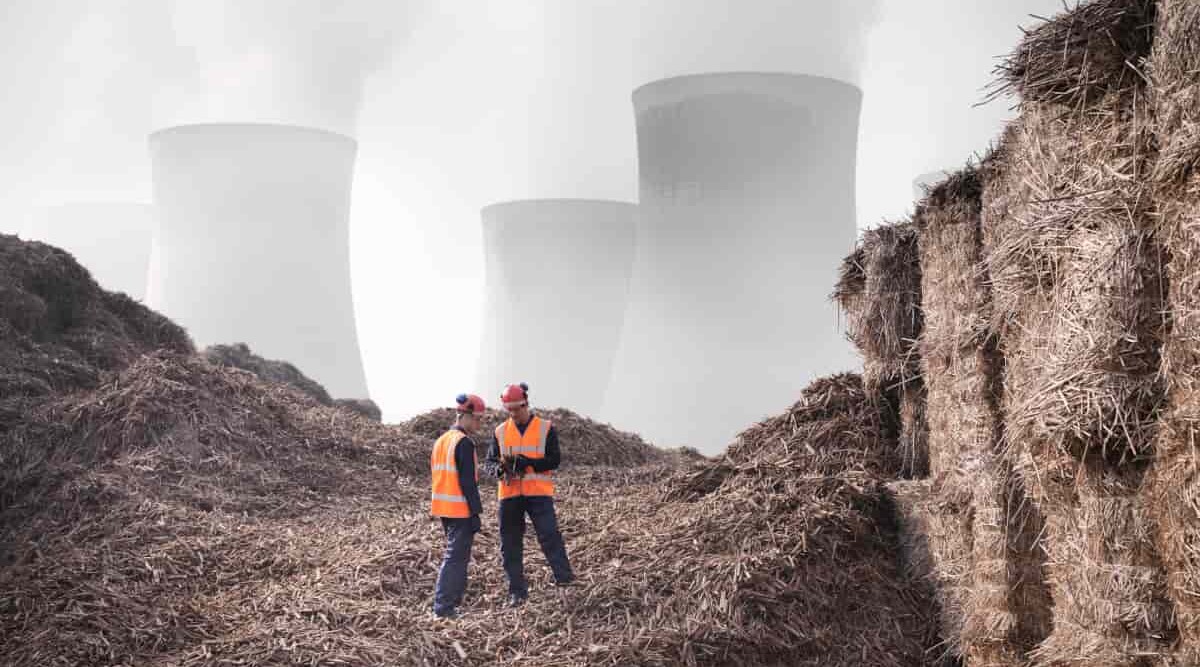 Zwei Experten befinden sich vor einem Biomassekraftwerk